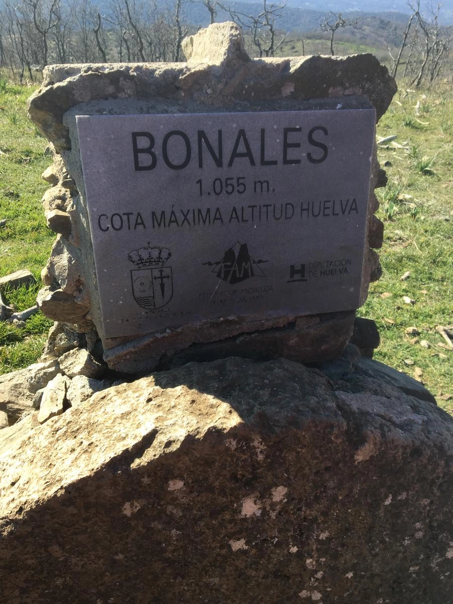 Cumbre de Cerro Bonales